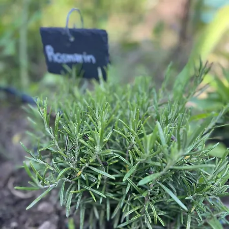 Διαμέρισμα Luxus 10 Min Zur Porta Nigra Inkl Parkplatz Τρίερ