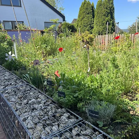 Luxus 10 Min Zur Porta Nigra Inkl Parkplatz Διαμέρισμα *