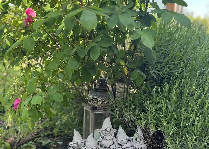 Luxus 10 Min Zur Porta Nigra Inkl Parkplatz Appartement *