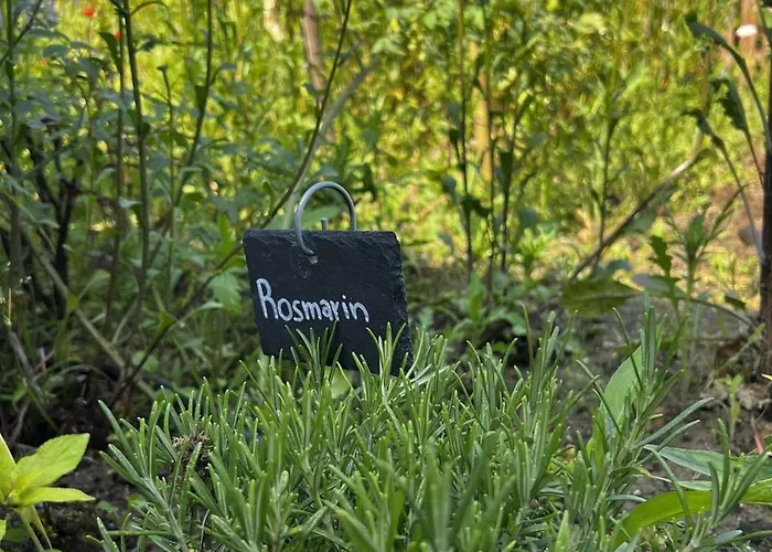 Appartement Luxus 10 Min Zur Porta Nigra Inkl Parkplatz Trier