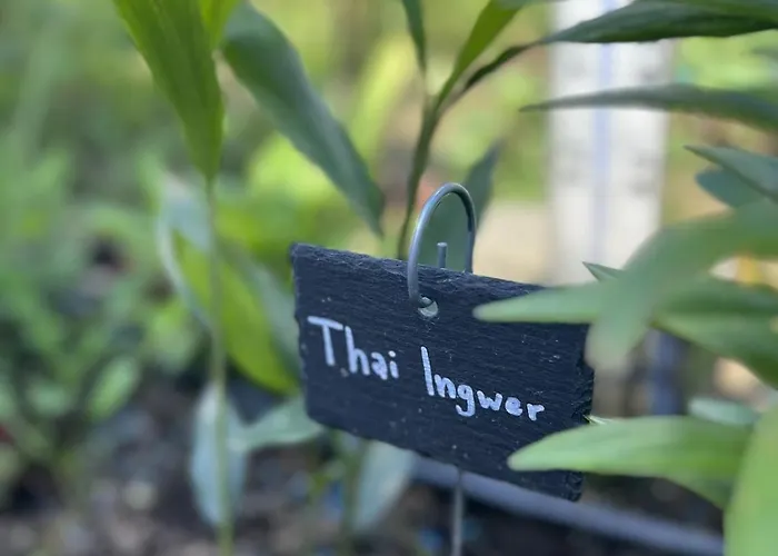 Luxus 10 Min Zur Porta Nigra Inkl Parkplatz * Trier