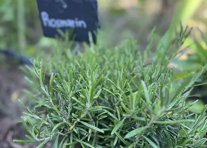 公寓 Luxus 10 Min Zur Porta Nigra Inkl Parkplatz 特里尔