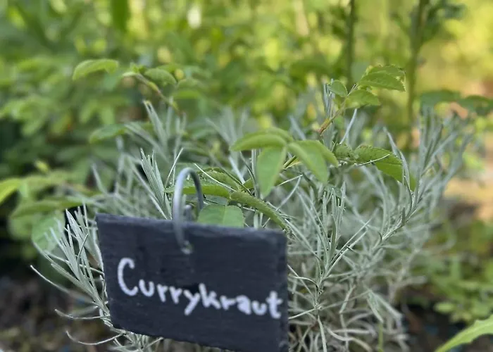 Luxus 10 Min Zur Porta Nigra Inkl Parkplatz 公寓 特里尔