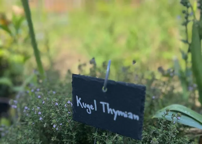 Luxus 10 Min Zur Porta Nigra Inkl Parkplatz * 特里尔