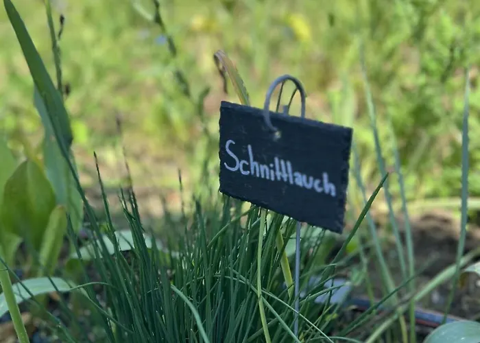 公寓 Luxus 10 Min Zur Porta Nigra Inkl Parkplatz *