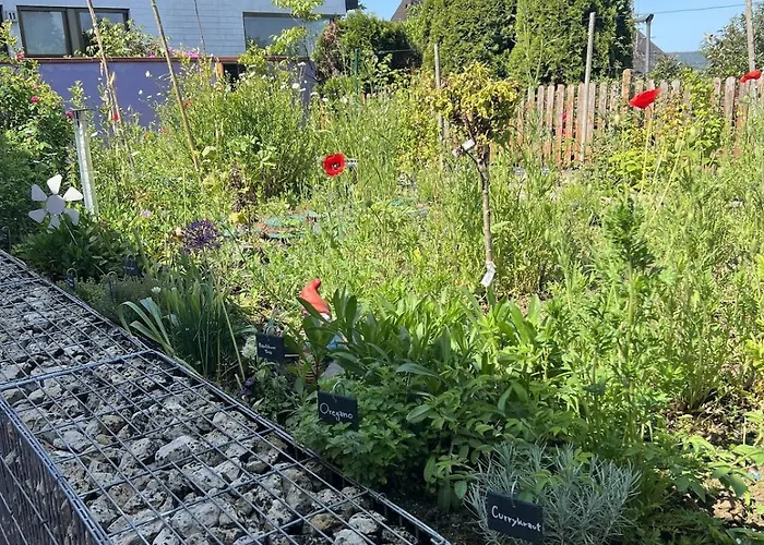 Luxus 10 Min Zur Porta Nigra Inkl Parkplatz 公寓 *