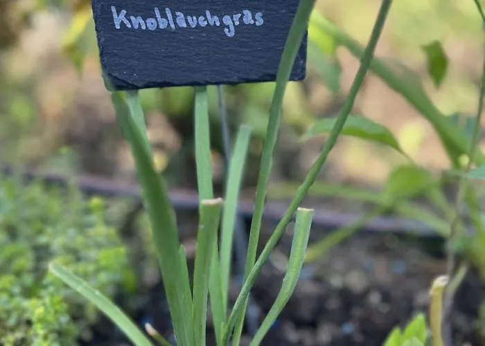 Luxus Studio Trier Nahe Porta Nigra, Parkplatz & Wlan Apartment Trier