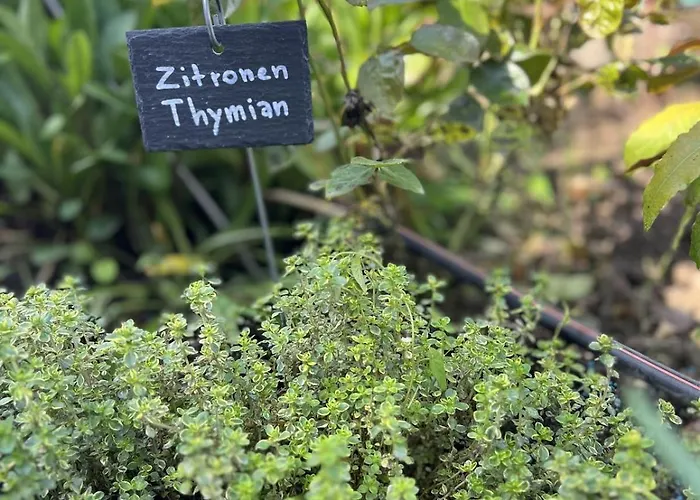 Luxus 10 Min Zur Porta Nigra Inkl Parkplatz *